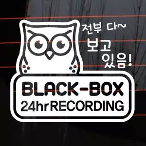 자동차 주유구 차량용 스티커_부엉이블랙박스녹화중01 htb8+8Xto