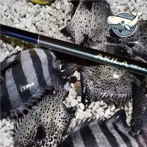 민물 낚시대 피싱 낚시 용품 육상 낚시 원투대 opv9+6zXR