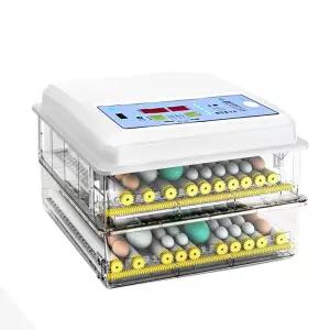 두우둥 부화기만들기 달걀 병아리부화기만들기 병아리