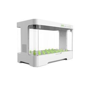 식물 재배기 야채 콩나물키우기 양면 상추 블라썸몰 심기 용품 야채키우기 기본형 3홀