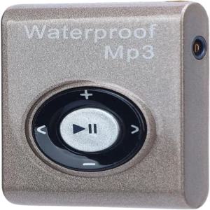 물 손실 없는 아라목스 하이파이