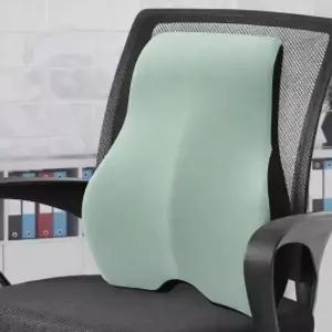 [골드스마일]커브메모리폼의자등받이쿠션허리등받이민트