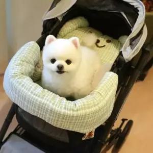 [반려] 유모차 가드 쿠션 사계절사용 곰얼굴 자수 유모차 프레임 부딪힘 방지 강아지 산책 외출