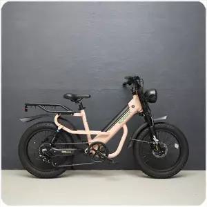 알톤 코디악 T20 500W 15Ah 전기 자전거 / 자토바이 모페드