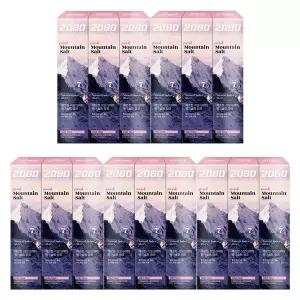 2080 퓨어치약 핑크 마일드민트향 120g X 15개