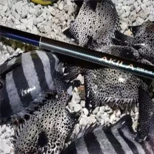 원투 낚시대알찬 서프 원투대 피싱 민물 낚시대 4.50m