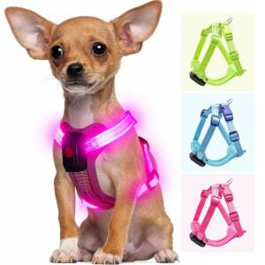 소형견을 위한 Visiklit 조명 개 하네스 충전식, LED 조끼 하네스, 어두운 하네스로 360 진정한 조명-핑크색 강아지 밤 안전 보행을 조절 가능한 조명-