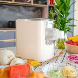 전자동 국수 제면기 칼국수 가정용 파스타 면뽑는기계