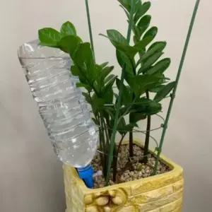 자동급수기 화분 페트병 식물 4P 식물키우기 저면관수 텃밭상자 사용이편리한 깔끔한화분