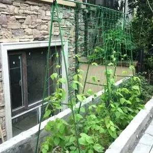 TC2 호박 오이 토마토 넝쿨 덩쿨 식물지지대 그물망 유인망 넝쿨그물망 오이넝쿨그물망