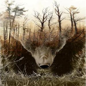 우주이반 성인 퍼즐 클래식 직소 1000피스 나무 DIY 숲 지도 곰 모던 홈 데코 독특한 선물 지적 게임