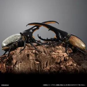 코뿔소 벌레 곤충 헤라클래스 딱정벌레 장수풍뎅이