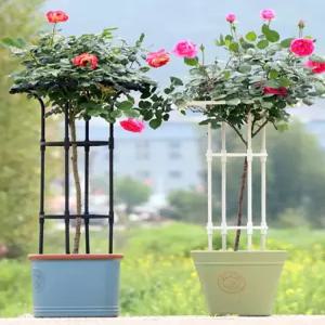 넝쿨 식물 지지대 지주대 화분 화초 오이 토마토 원형 텃밭 수태봉 프레임 장미