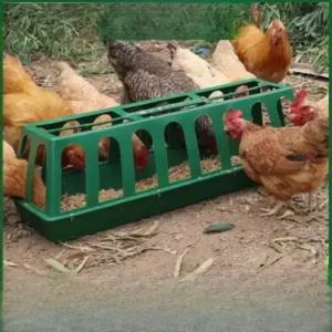 닭 먹이 양계장 먹이통 모이 오리 사료 급식기 닭모이 가축 자동 오골계 사료통