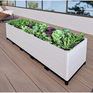 옥상 채소 야채 키우기 대형 화분 바퀴달린