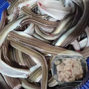 통영식 순살 아나고회 350g 통영아나고 순살아나고 통영활아나고 국내산장어