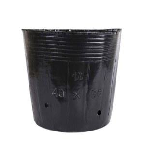 대용량 비닐포트 모종 대량 지름 분갈이 높이 33 35입 50마리 28cm 식물 300개 40 농장 육묘 종이 묘목