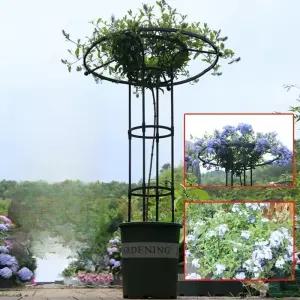 버섯 식물지지대 트랜드 넝쿨 스탠드 나무 조경 덩쿨 폴대