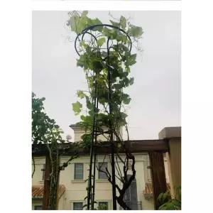 오벨리스크 넝쿨 지지대 식물지지대 울타리 유럽식 식물