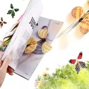 고무줄비행기 행글라이더 동력나비 실험 장난감 10ea