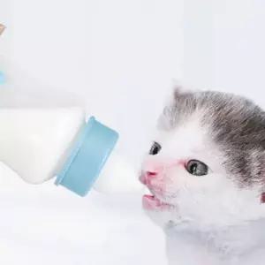 새끼 강아지 애기 고양이 우유병 젖병 세트 150ml 애완동물 접병세트 강아지젖병