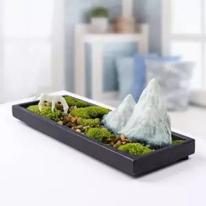 수반 트레이 수경돌받침대 호텔 과일 스톤 수석 보존된 세팅