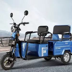 전동 삼륜차 가정용 소형 배터리 분리형 어르신 노인 겸용 여성용 3륜 화물 바이크 전기차