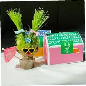 DIY 잔디 인형 키우기 세트 가정용 식물 재배 키트 베란다 정원 가드닝 체험