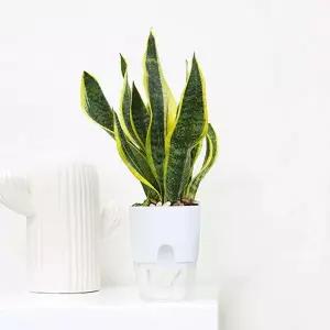 워터뷰 원형 자동급수 화분 미니 저면관수화분 빈화분