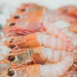 자연가득 횟감용 손질 딱새우 10미-25미(150g)