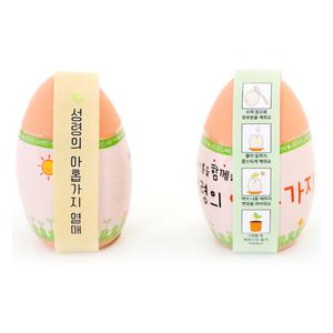 부활절 신기한부활절달걀 화분 콩키우기(1BOX)