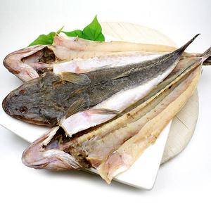 피쉬데이 나로도 건양태(장대)3~5미(1.3kg내외/45cm내외)