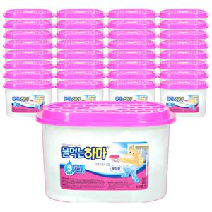 물먹는 하마 제습제 습기제거제 32개