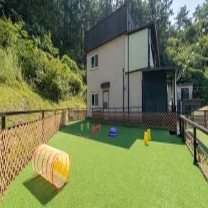 [강원 펜션] 홍천 스톤아일랜드애견펜션 (홍천,횡성)