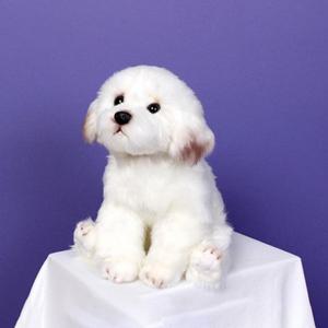 봉제인형 리얼 강아지 인형 말티즈 petdoll 진짜같은강아지인형 동물인형