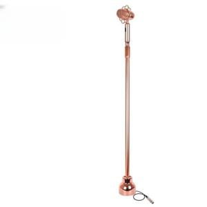 음레트로 스탠드마이크 콘서트 공연 레트로 녹