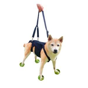 강아지척추보조기 디스크 재활 보호대 등다리지지