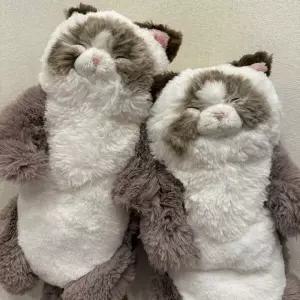 아트박스/콤비니 선레몬 무릎인형 잠자는쓰야쓰야 랙돌 고양이인형