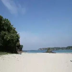 대마도 1일 #쓰시마링크호 #히타카츠 버스투어 #중식포함 #당일여행 #밸류마트