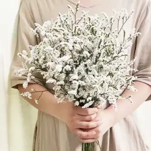 오후의 꽃 시네신스 반단 꽃배달 싼곳 생화 꽃정기구독