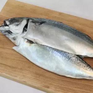 국내산 자반고등어 4미 특대 38cm 내외