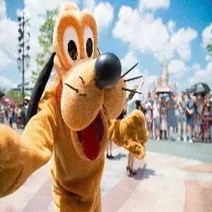 [김포출발] 상해 4일#디즈니랜드 #노쇼핑 #콘래드뷔페식 #리무진 #준5성호텔