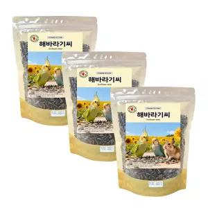 공기세척 깨끗한 해바라기씨 400g 3개 앵무새 햄스터 사료 