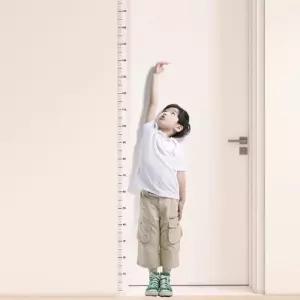 어린이 아기 키재기 붙이는 키재는 스티커 문틀 키성장표시