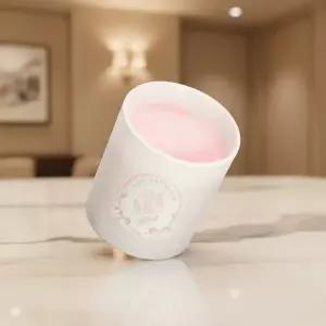 피에브 에어워셔 냄새 제거 고체 탈취제 머스크향 250g 1개