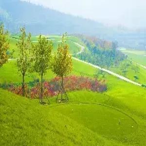 [2인출발보장][청주출발]석가장 골프 4일 #골프연계호텔 #중청CC #63홀 #중청홀리데이호텔 #2인출발가능