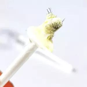 코털 왁싱 스틱 1개