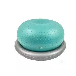 강아지튼튼짐볼 밸런스 볼 슬개골운동 재활 균형 짐볼 애견 기구 근력