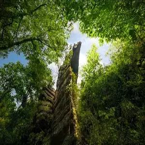 은시직항 5일#신상여행지 #ALL포함 #은시직항 #은시대협곡 완전정복 #월드체인5성호텔 #리무진버스 #전신마사지 #용선수향나무배 #선은야경 #소푸아석림