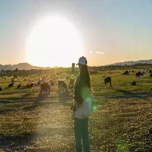 몽골/테렐지/엘승타사르하이 5일 #NO쇼핑 #미니사막 #초원 #4성급호텔 #전통+현대식게르[4인1실] #초원승마 #모래썰매 #낙타체험 #가성비